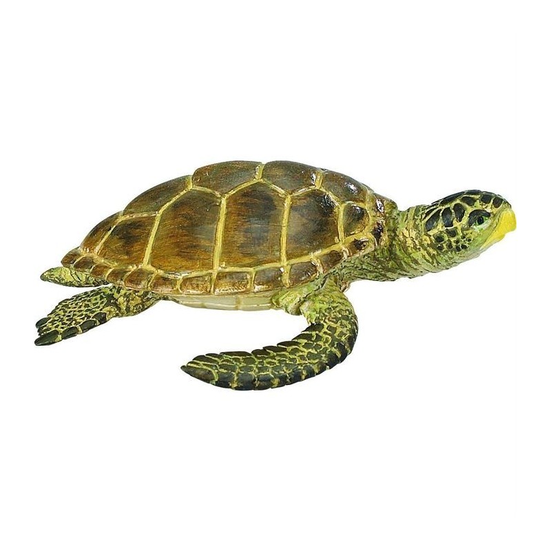 Tortue Caouanne