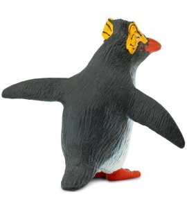 Manchot Rockhopper