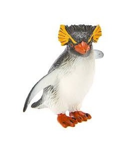 Manchot Rockhopper