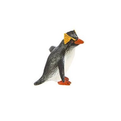 Manchot Rockhopper