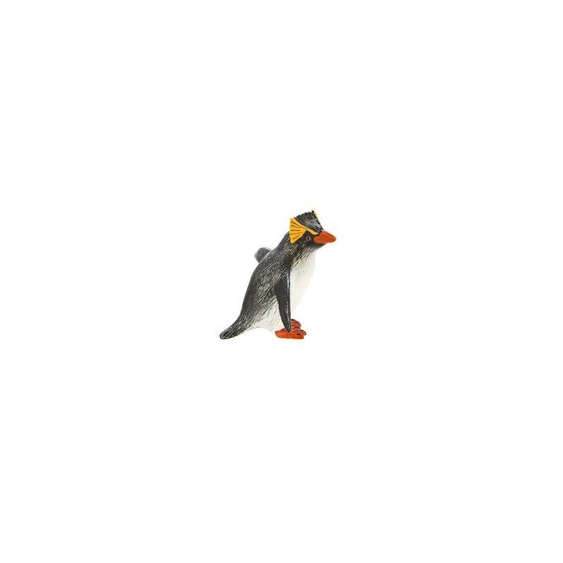 Manchot Rockhopper