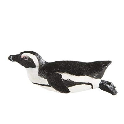 Pingouin Sud Africain