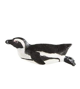 Pingouin Sud Africain
