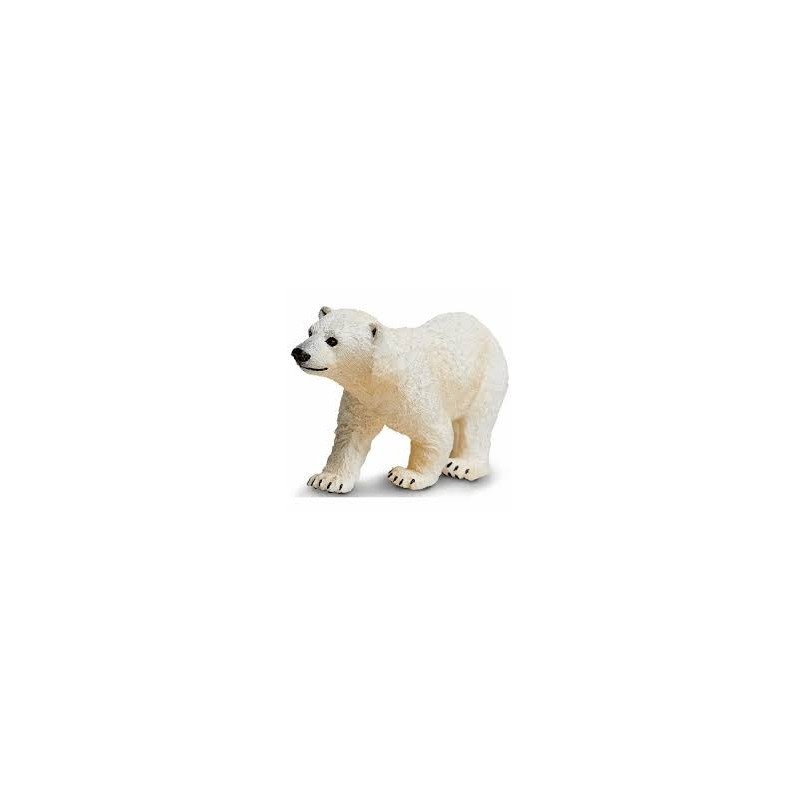Ours polaire bébé