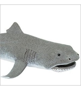 requin grande gueule