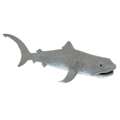 requin grande gueule