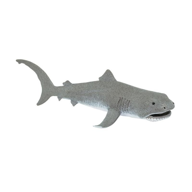 requin grande gueule