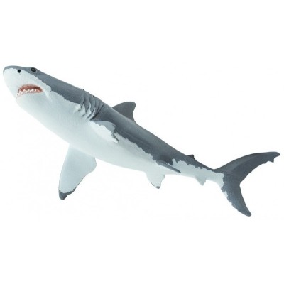 Grand requin blanc