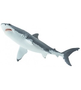 Grand requin blanc