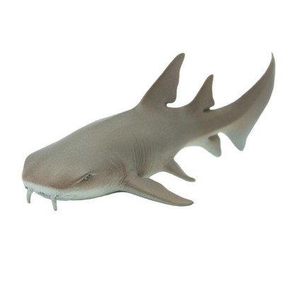 Requin nourrice