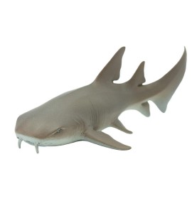 Requin nourrice