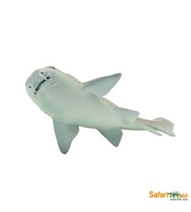 Requin nourrice