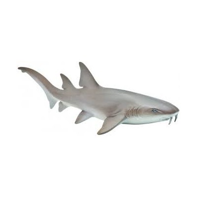 Requin nourrice