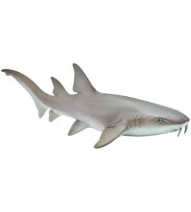 Requin nourrice