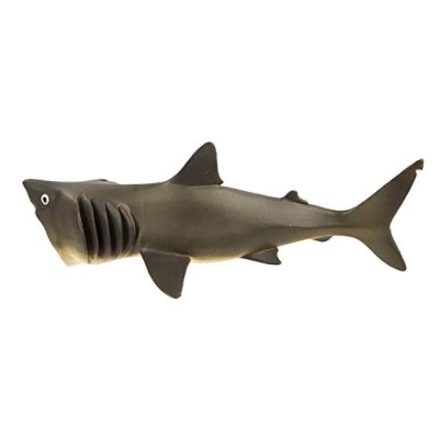 requin pèlerin