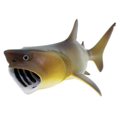 requin pèlerin