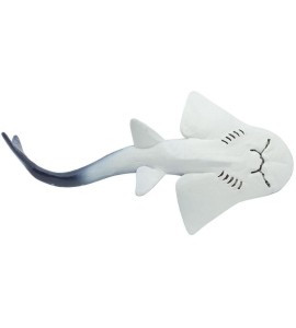 Requin-raie