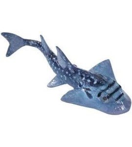 Requin-raie