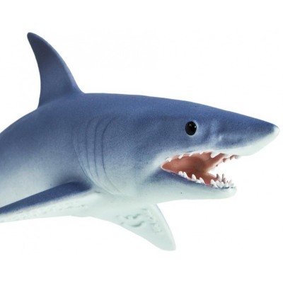 Requin Mako