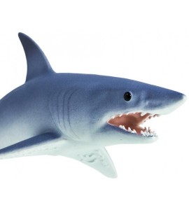 Requin Mako