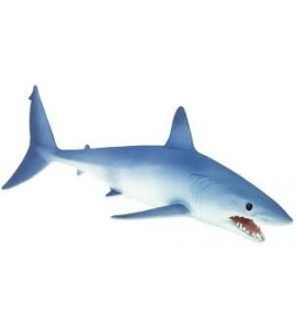Requin Mako