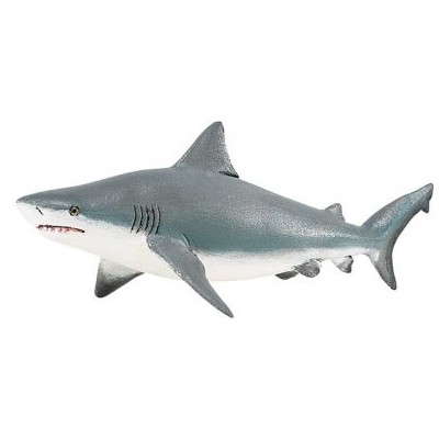 Requin taureau