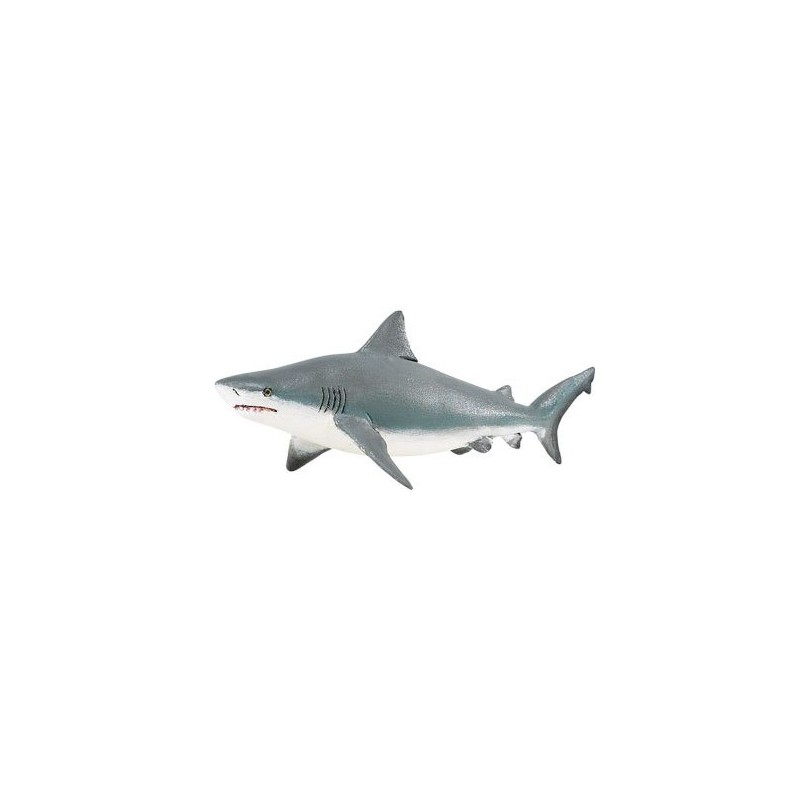 Requin taureau