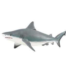 Requin taureau