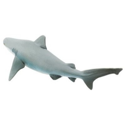 Requin taureau