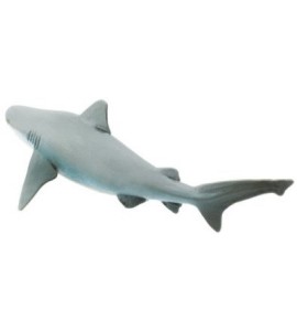 Requin taureau