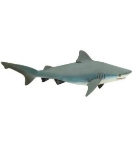 Requin taureau