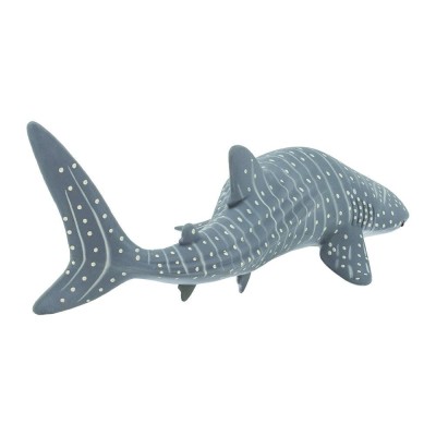 Requin baleine