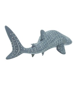 Requin baleine