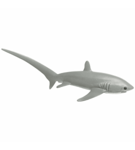 Requin renard