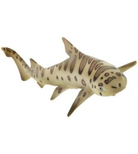 Requin léopard