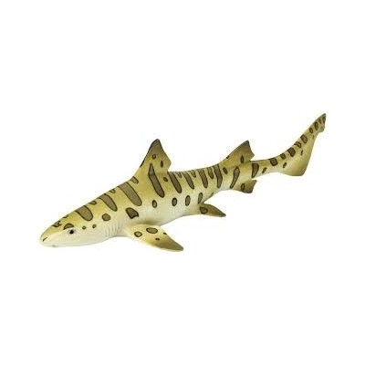 Requin léopard