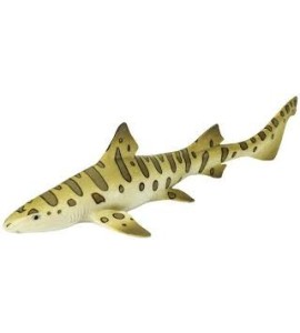 Requin léopard