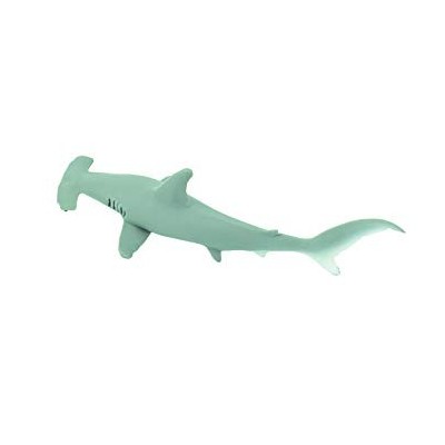 Requin marteau