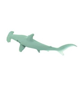 Requin marteau