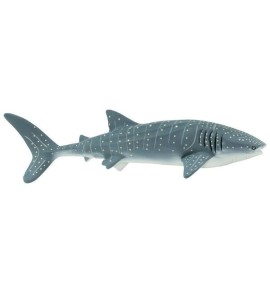 Requin baleine