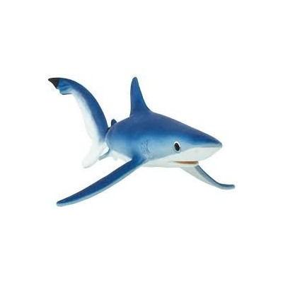 Requin bleu