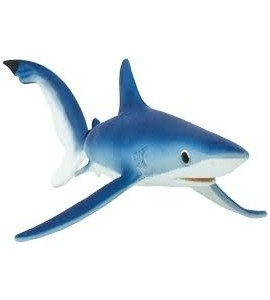 Requin bleu