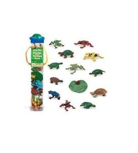 Tube grenouilles et tortues