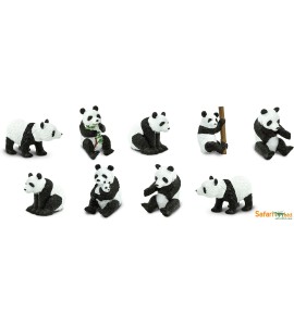 Tube les pandas