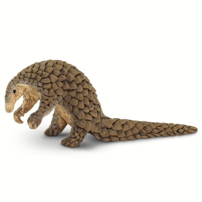 Pangolin