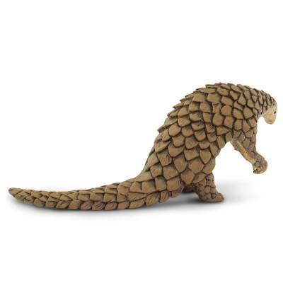 Pangolin