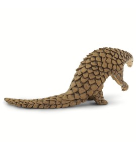 Pangolin