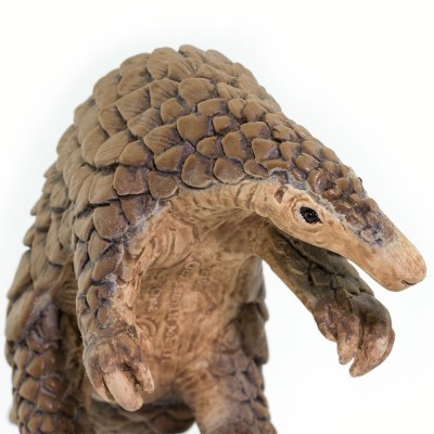 Pangolin