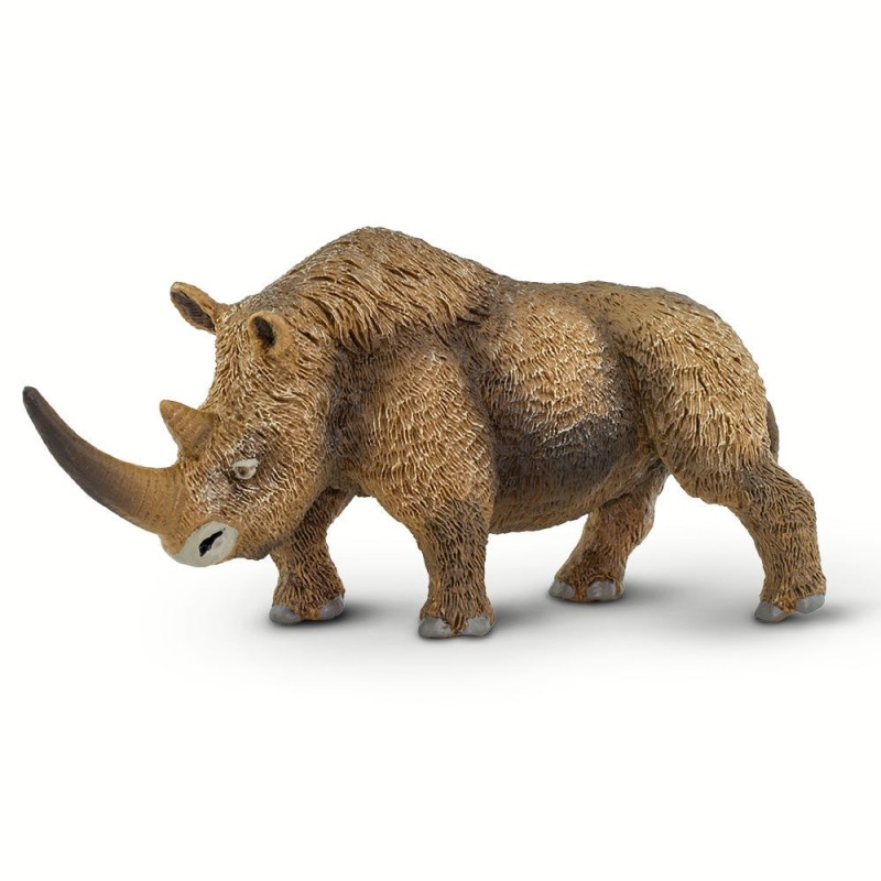 Rhinocéros laineux