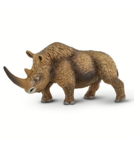 Rhinocéros laineux